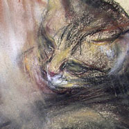 Dessins